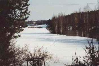 Älaterän-takapuutarha_jpg